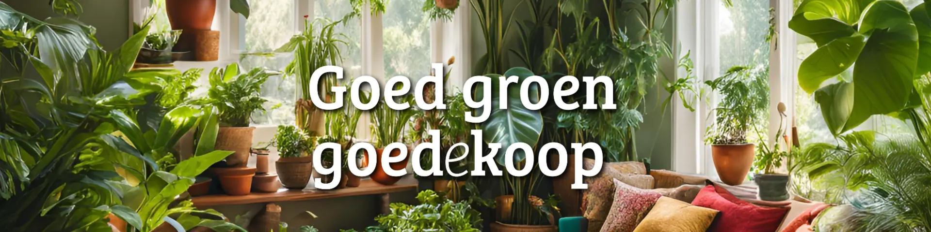 Kamerplanten - Homepage Kamerplanten in je huis