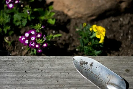 Tuinaccessoires voor herfst en regen