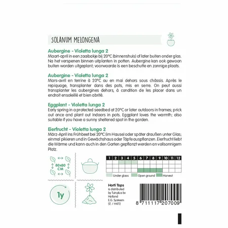 Aubergine 'Violetta Lunga 2' - afbeelding 2
