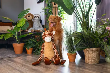 Beeztees Jungle Giraf Knuffel XL - afbeelding 5