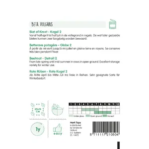 Bieten 'Kogel 2' - afbeelding 2