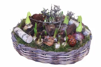 Bollenarrangement Ovale Rieten Mand XL