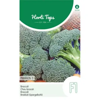 Broccoli 'Marathon F1'