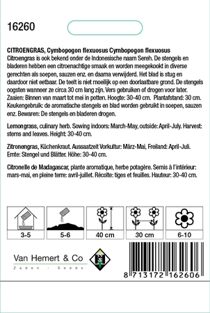 Citroengras - afbeelding 2