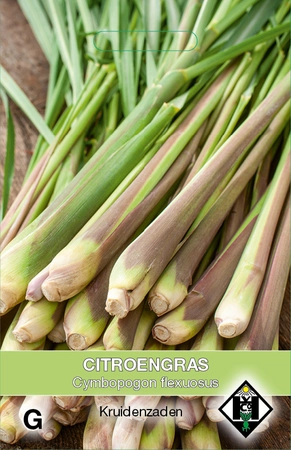 Citroengras - afbeelding 1