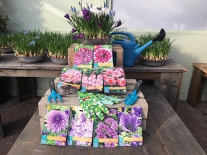 Classic Handschep - afbeelding 2