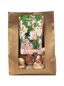 Colour Your Garden 'Peach Blush'