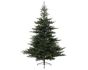 Grandis Fir - D111/H150cm