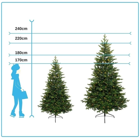 Grandis Fir - D150/H210cm - afbeelding 5