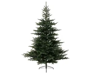 Grandis Fir - D150/H210cm