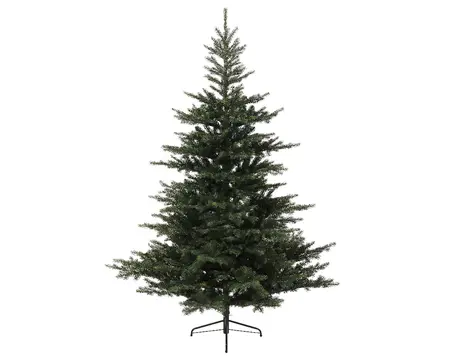 Grandis Fir - D182/H300cm - afbeelding 1