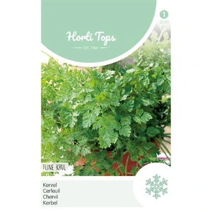 HT Kervel 'Fijne Krul'