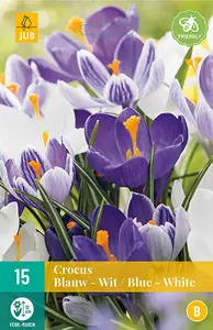 Krokus Blauw/Wit - Mix