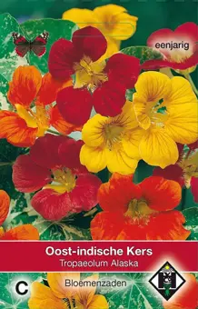 Oost-Indische Kers 'Alaska'