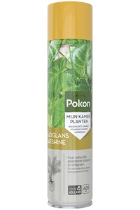 Pokon Bladglans - 600 ml