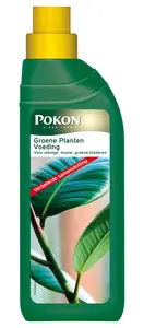 Pokon Groene Planten Voeding - 500 ml