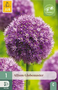 Sierui 'Globemaster'