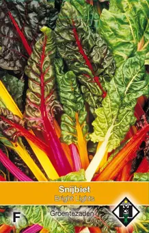 Snijbiet 'Bright Lights'