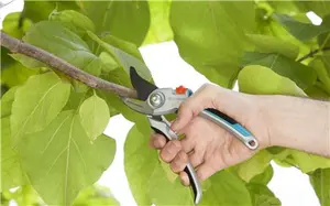 Snoeischaar Comfort Alu Luxe Bypass - afbeelding 2