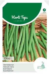 Stamslabonen 'Domino'/vh 'Paloma'