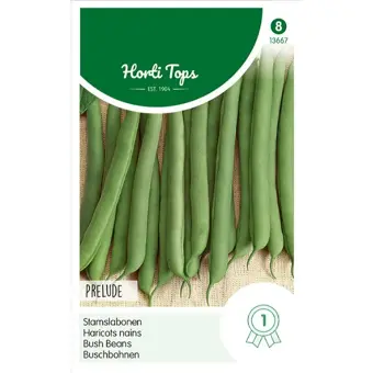 Stamslabonen 'Prelude'