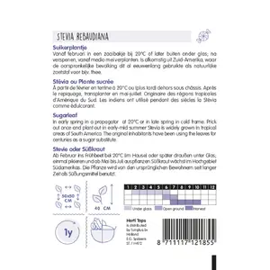 Stevia, Suikerplantje of Honingkruid - afbeelding 2