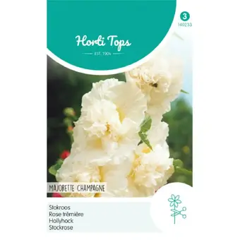 Stokroos 'Majorette Champagne'