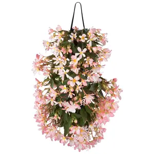 Wandhanger Begonia