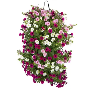 Wandhanger Little Tunia