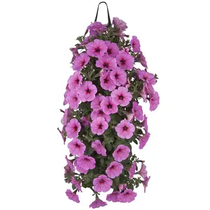 Wandhanger Petunia