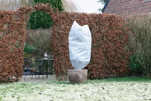 Winterafdekhoes Met Koord Wit Ø75Cmx1,50M 50 G/M² Set À 2 Stuks