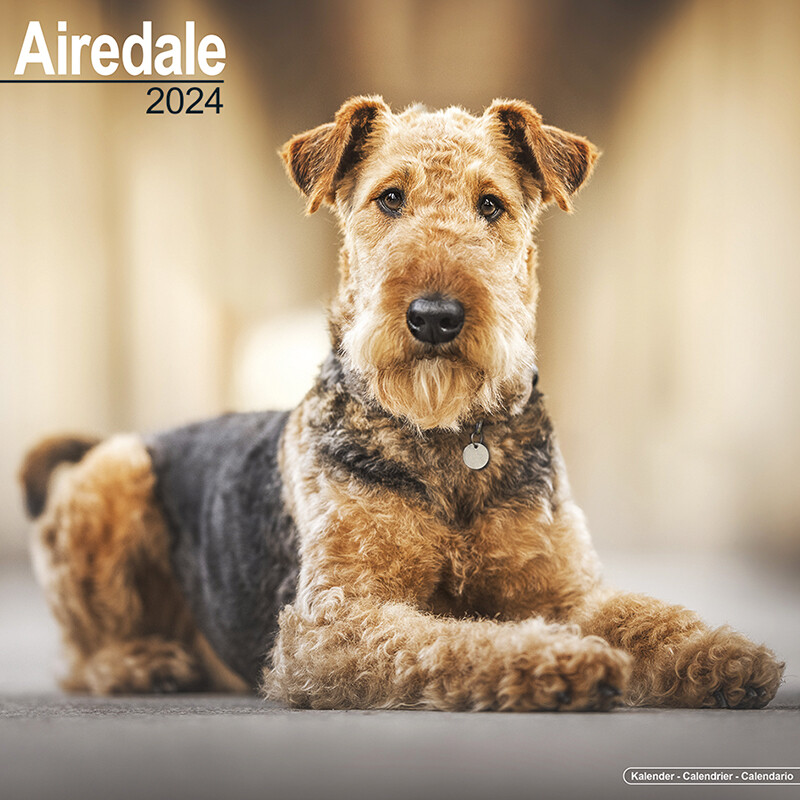 Kalender 2024 - Airedale Terriers Voorkant tuinland