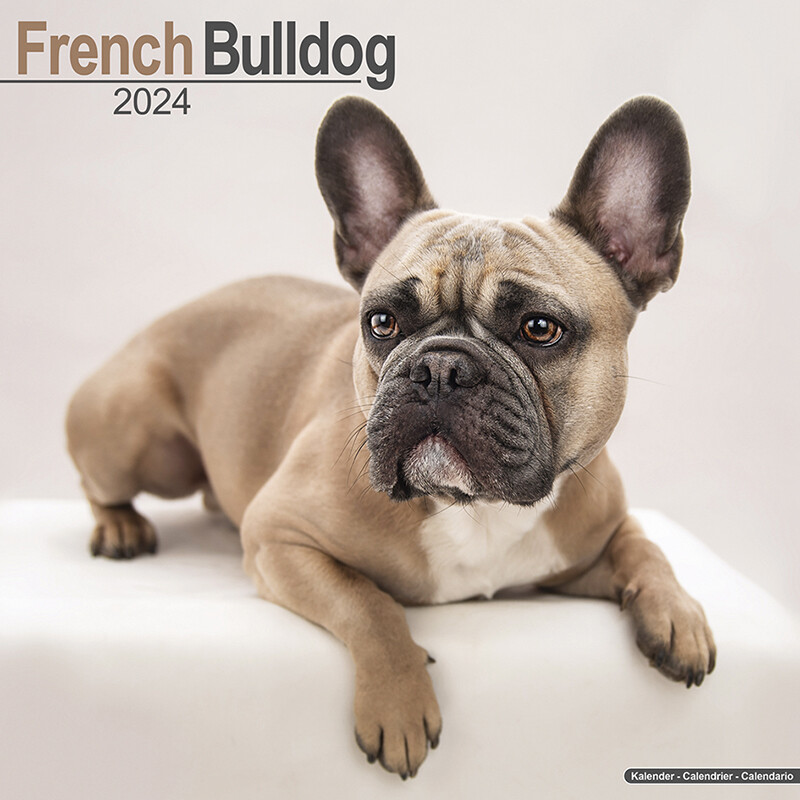 Kalender 2024 Wandkalender French Bulldog Franse Buldog Tuinland