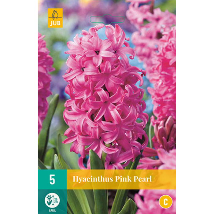 Afbeelding Hyacinthus Pink Pearl roze 5 stuks hyacint bloembollen