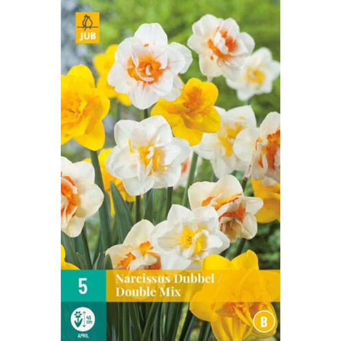 Afbeelding Narcis Dubbel Mix geel wit oranje 5 stuks bloembollen