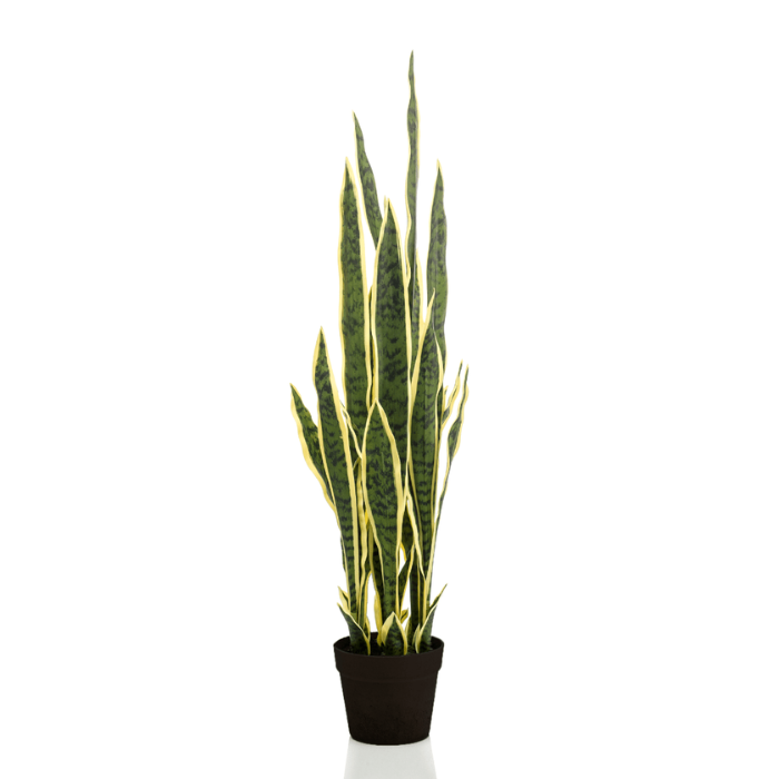 Kunstplant Sansevieria in zwarte pot vrouwentong