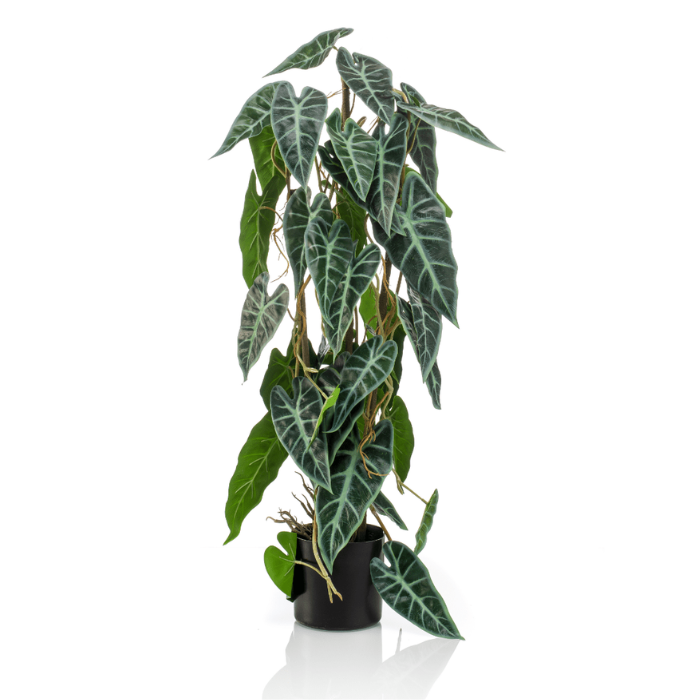 Kunstplant Alocasia donkergroen blad lichtgroene nerven langs stok H 75 cm