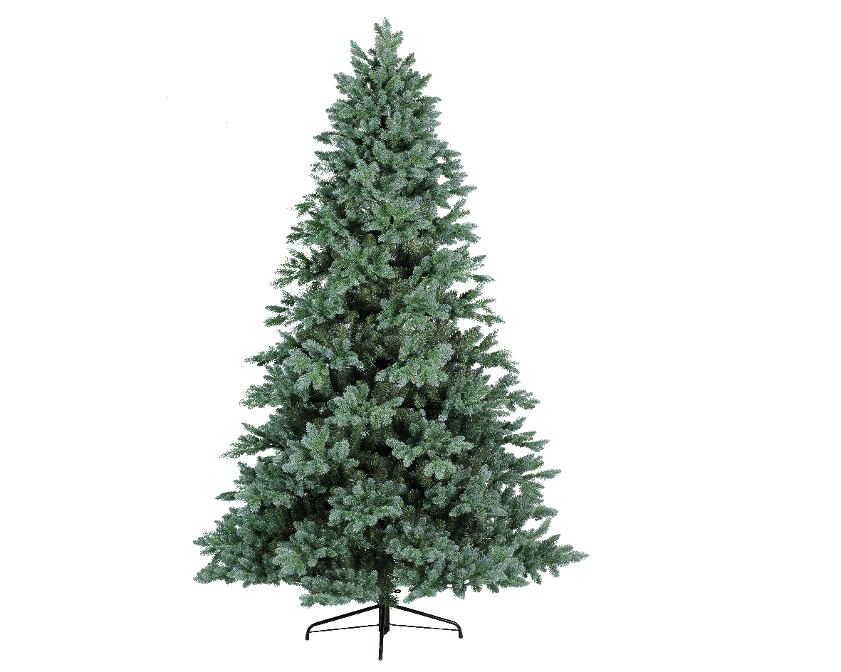 Trondheim Spruce