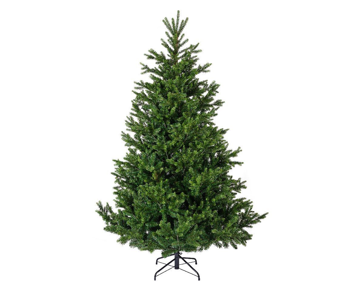 Nordmann Fir 150 cm vooraanzicht