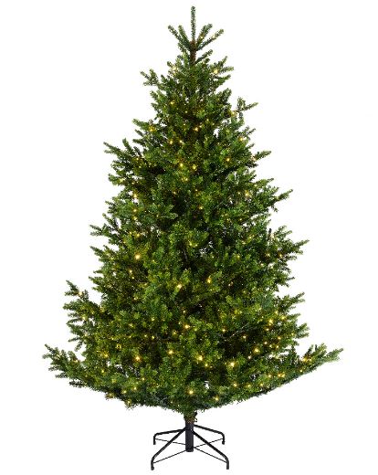 Nordmann Fir 240 cm vooraanzicht