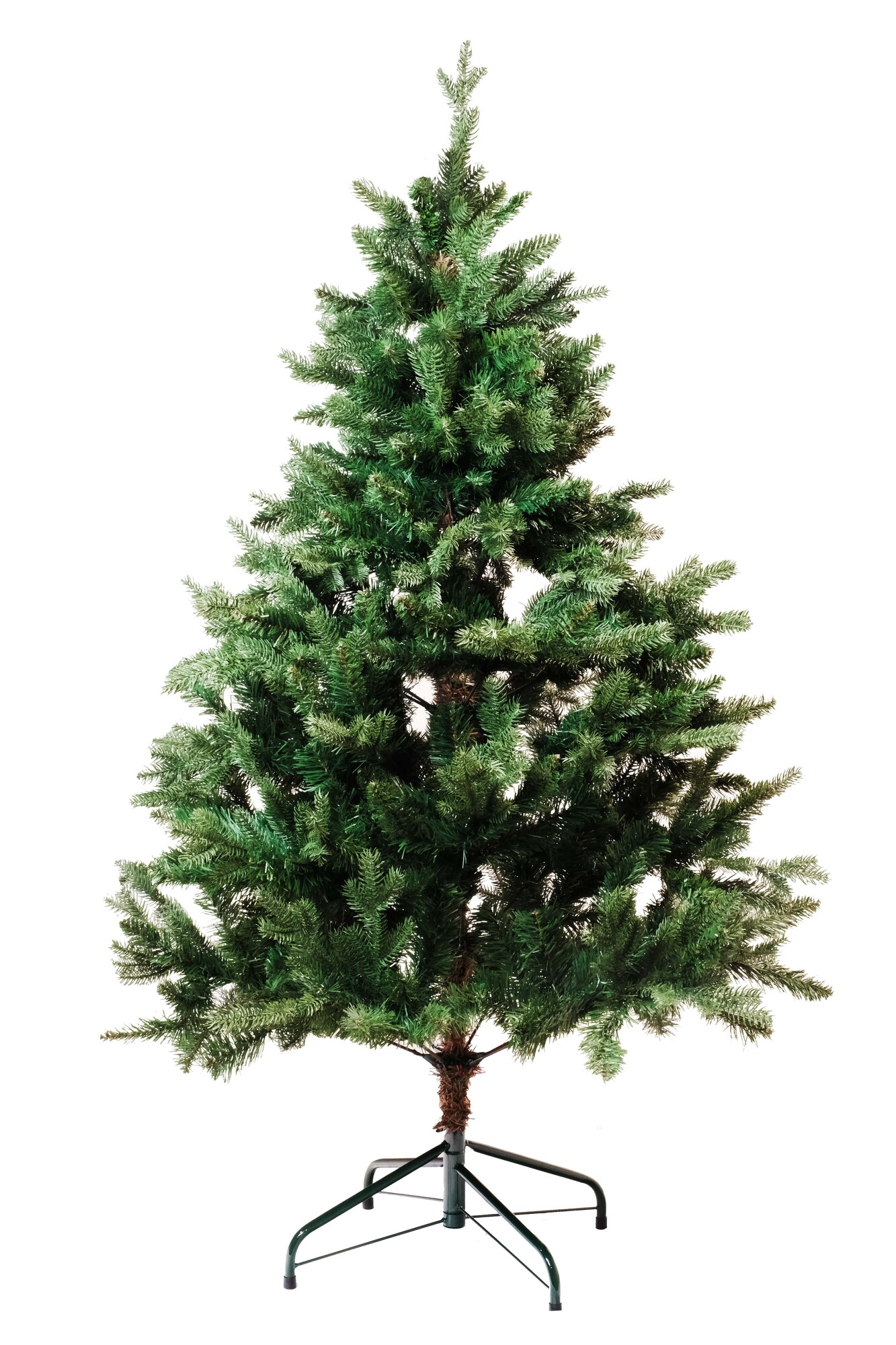 Coniferous Pine