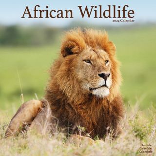 Kalender 2024 Wandkalender African Wildlife Afrika Wildleven Wilde Dieren Tuinland