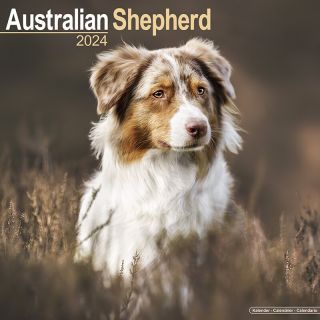 Kalender 2024 Wandkalender Australian Shepherd Herdershond Aussie Tuinland