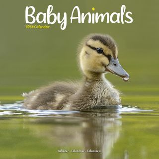 Kalender 2024 - Wandkalender Baby Animals Voorkant Tuinland
