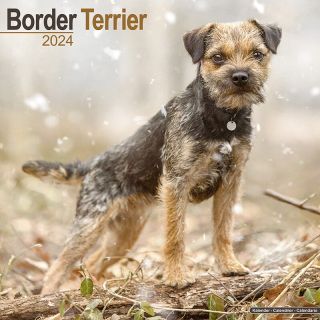 Kalender 2024 Wandkalender Border Terrier Tuinland