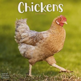 Kalender 2024 Chickens Kippen Kip Tuinland