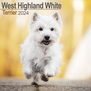 Kalender 2024 Wandkalender West Highland White Terrier Tuinland