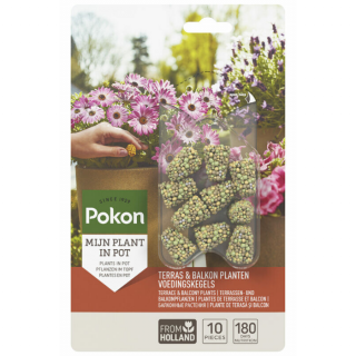 Voorkant Blister Pokon Terras & Balkon Planten Voedingskegels 10 stuks