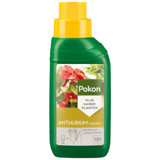 Voorkant Groene fles met gele dop Pokon Anthurium Voeding 250 ml