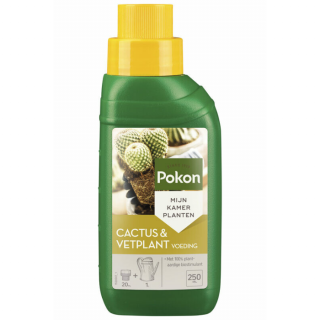 Voorkant groene fles gele dop Pokon Cactus & Vetplant Voeding 250 ml